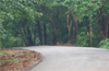 Shiradi Ghat ’green bypass’ to start in Nov, finish in 2 years